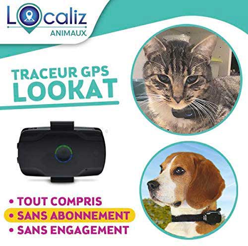 Collier GPS chat sans abonnement pour suivre leur activité - FEELLOO