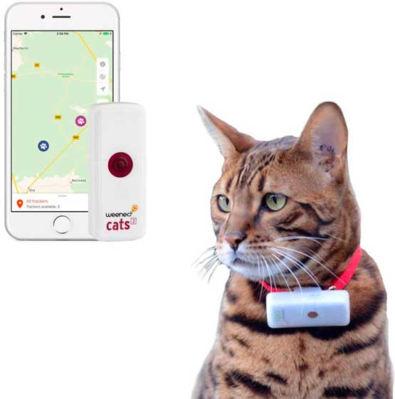 Collier Gps Pour Chat Avis Et Conseils Pour Ne Pas Vous Faire Arnaquer