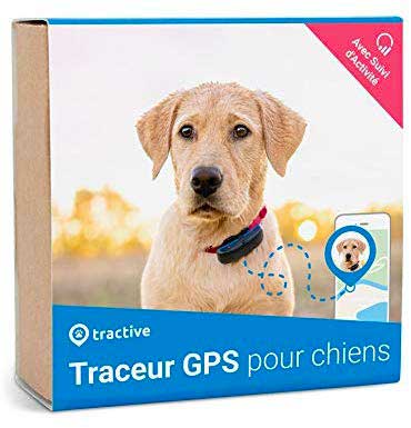 Collier GPS pour chiens : avis, test, prix - Conso Animo