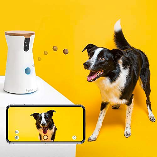 Caméra de surveillance pour chien et chat