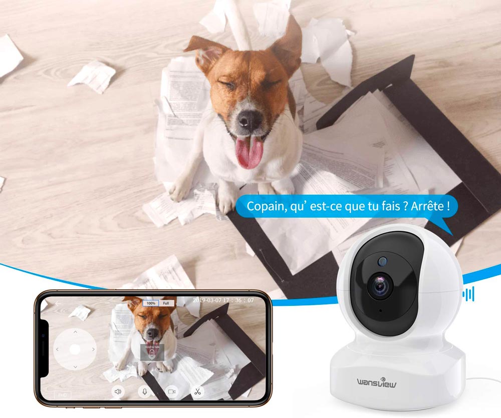 Caméra de surveillance d'intérieur pour animaux - ABC chiens