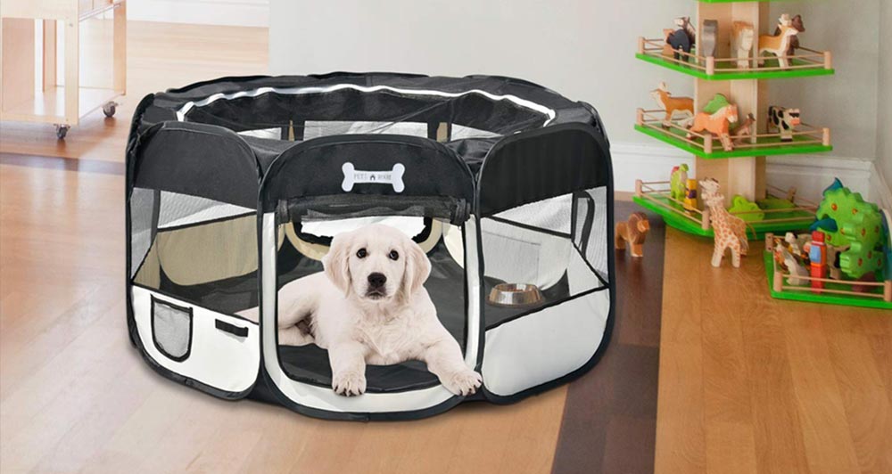 Enclos Et Parc Pour Chien Quel Mod le Choisir Comparatif Test Avis