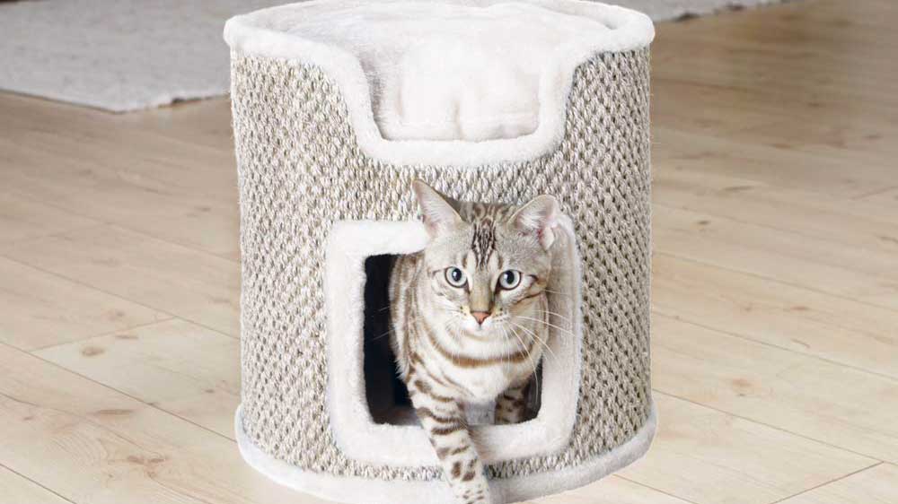 Tour A Griffer Pour Chat Quel Modele Choisir Notre Selection Et Conseils