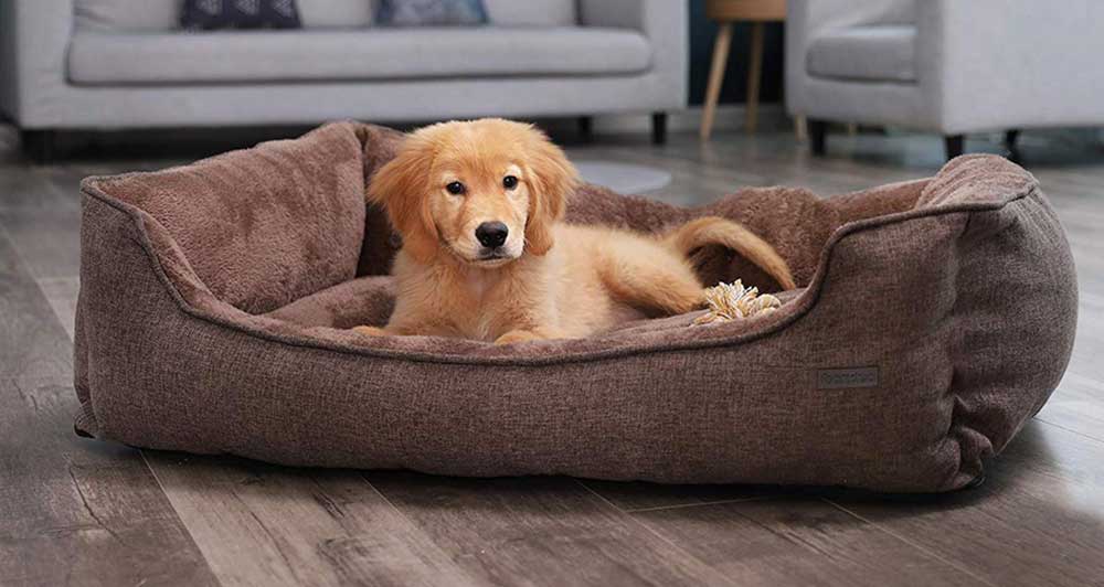 Comment choisir un tapis pour son chien ?
