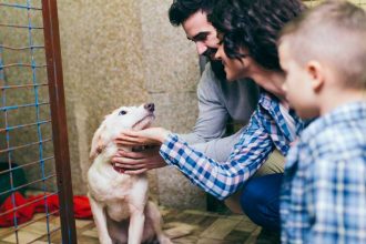 Les 5 questions à se poser avant d’accueillir un animal en adoption