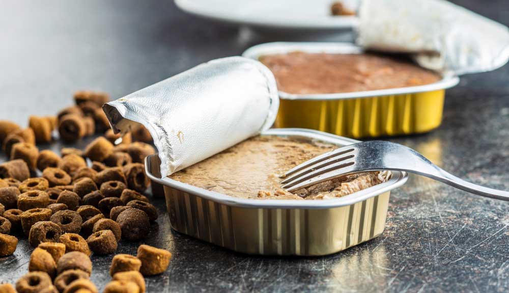 Alimentation du chat croquettes ou pâtée