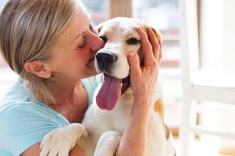 Comment prolonger l’espérance de vie de son chien