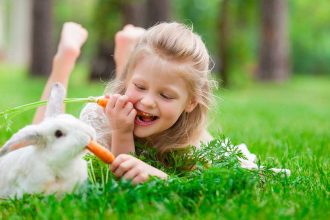 Avoir un lapin : comment bien s’en occuper