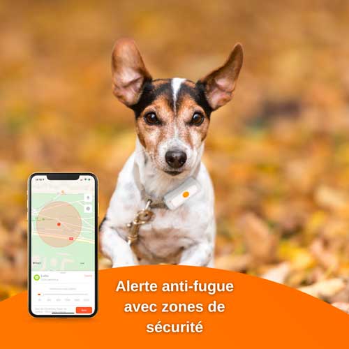 QU'EST-CE QUE LE COLLIER DE SUIVI GPS POUR CHIEN DE CHASSE ET QUELLE EST  SON UTILITÉ?