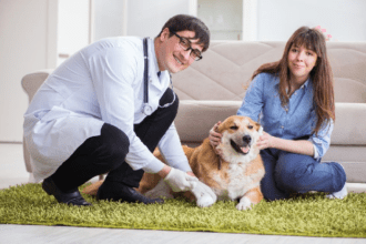 Vétérinaire à domicile